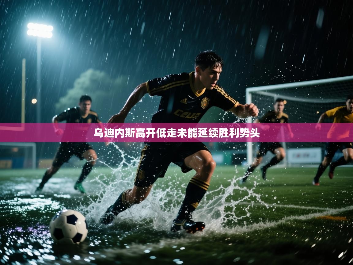 乌迪内斯高开低走未能延续胜利势头 第2张